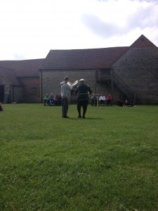 A falconry demonstration at the farm 